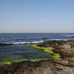 Vasiliko Царево