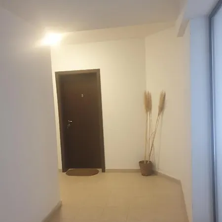 Vasiliko Apartament